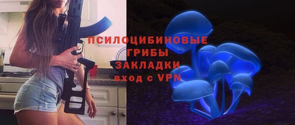 тгк Корсаков