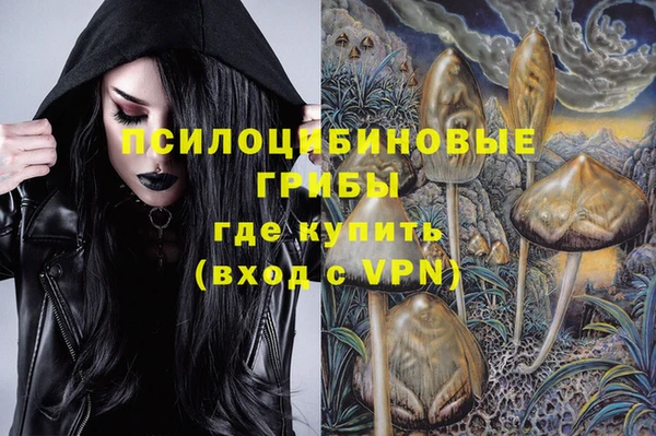 тгк Корсаков